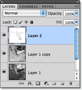 Merged layers in Photoshop. Image © 2011 Photoshop Essentials.com.