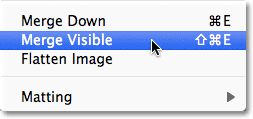 The Merge Visible command in Photoshop. Image © 2011 Photoshop Essentials.com.