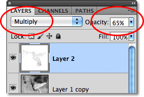 The blend mode and Opacity options in the Layers panel in Photoshop. Image © 2011 Photoshop Essentials.com.