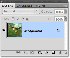 The Background layer in Photoshop. Image © 2011 Photoshop Essentials.com.