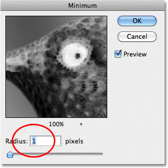 Photoshop Minimum Filter kotak dialog. Gambar © 2011 Photoshop Essentials.com.