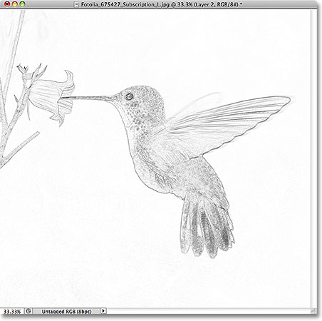 Photoshop foto untuk efek sketsa. Gambar © 2011 Photoshop Essentials.com.