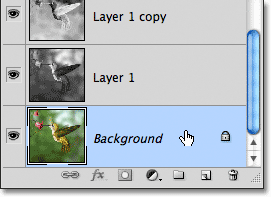 Selecting the Background layer in the Layers panel. Image © 2011 Photoshop Essentials.com.