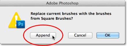 Appending the new brushes in with the originals in Photoshop. Image © 2011 Photoshop Essentials.