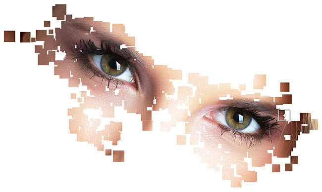 Revealing the photo through randomly sized and scattered squares. Image © 2011 Photoshop Essentials.