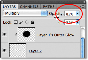 Photoshop layer opacity. Image © 2011 Photoshop Essentials.com.