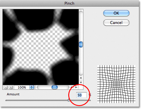 Photoshop Pinch filter dialog box. Image © 2011 Photoshop Essentials.com.