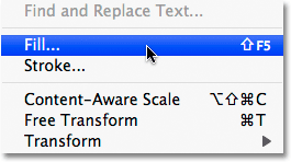 Selecting the Fill command in Photoshop. Image © 2009 Photoshop Essentials.com.