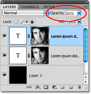 The Opacity option in the Layers panel in Photoshop. Image © 2009 Photoshop Essentials.com.