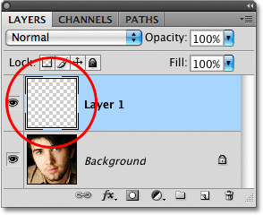 The layer preview thumbnail in the Layers palette. Image © 2009 Photoshop Essentials.com.