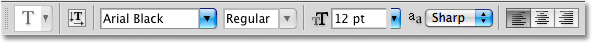 The type options in the Options Bar in Photoshop. Image © 2009 Photoshop Essentials.com.