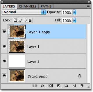 Salinan 'Layer 1' muncul di panel Layers. Image © 2009 Photoshop Essentials.com.