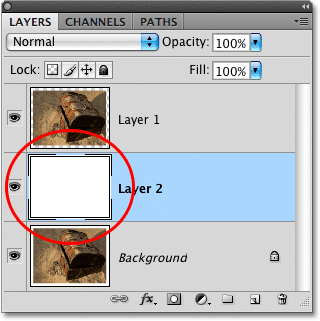 The layer preview thumbnail for 'Layer 2'. Image © 2009 Photoshop Essentials.com.