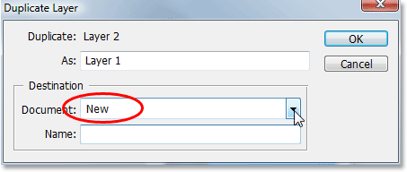 The Duplicate Layer kotak dialog di Photoshop.