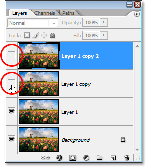 Clicking on the Layer Visibity icon for each of the top two layers in the Layers palette to temporarily hide them from view.