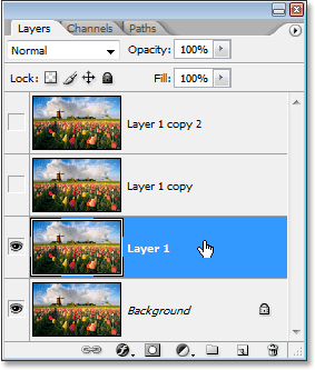 Clicking on 'Layer 1' in the Layers palette to select it.