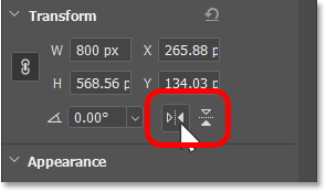 The Flip Horizontal and Flip Vertical options in the Properties panel.