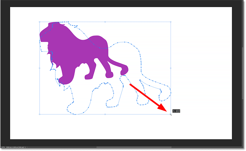 Holding Shift and dragging a transform handle to resize the custom shape.