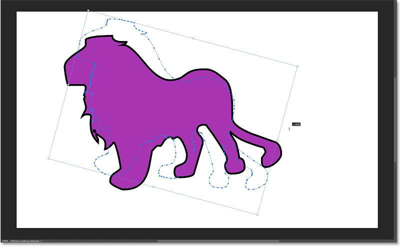 Dragging outside a transform handle to rotate the custom shape.