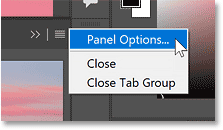 Opening the Navigator panel options.