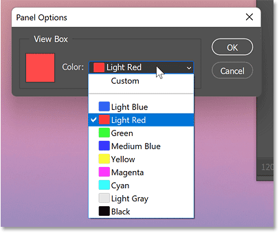 The Panel Options dialog box.