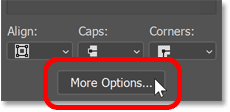 Clicking the More Options button for the stroke around the shape