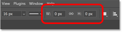 The shape's width and height options in Photoshop's Options Bar.