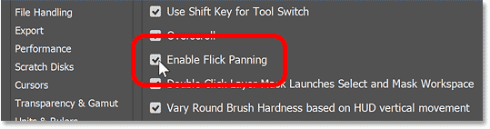 Making sure the Enable Flick Panning option is turned on in Photoshop.