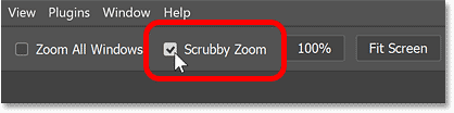 Photoshop's Scrubby Zoom option in the Options Bar.