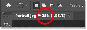 Zooming the image out to 25 percent.