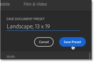 قم بتسمية الإعداد المسبق ثم النقر فوق الزر Save Preset.