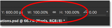 The Width and Height fields showing the scaled image back to 100 percent.