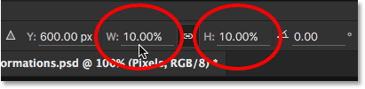 Resizing the width and the height of the image down to 10 percent.