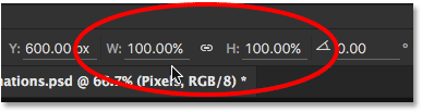 The Width and Height values for the pixel version have once again been reset to 100 percent.