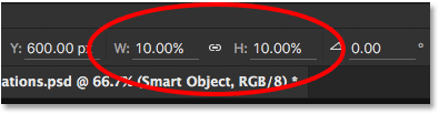 With the Smart Object, the Width and Height values remain at 10 percent.