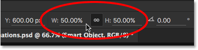 Upscaling the width and height of the Smart Object from 10 percent to 50 percent.