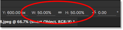 The Width and Height values for the Smart Object are still set to 50 percent.
