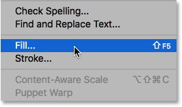 Selecting the Fill command under the Edit menu. 