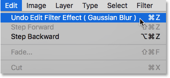 Choosing the Undo Edit Filter Effect (Gaussian Blur) option under the Edit menu. 