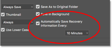 The Auto Save option in the Photoshop Preferences.