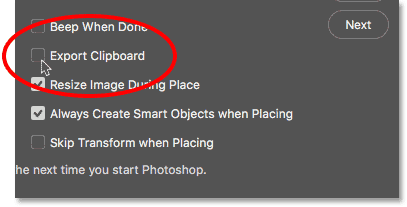 The Export Clipboard option in the Photoshop Preferences.