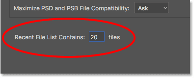 The Recent File List Contains option.