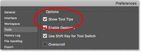 The Show Tool Tips option in the Photoshop Preferences.