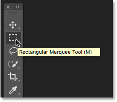 A Tool Tip displaying the name of a tool in the Toolbar.