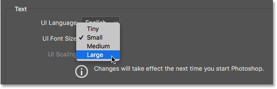 Choosing Large for the UI Font Size.