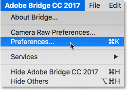 فتح تفضيلات Adobe Bridge.