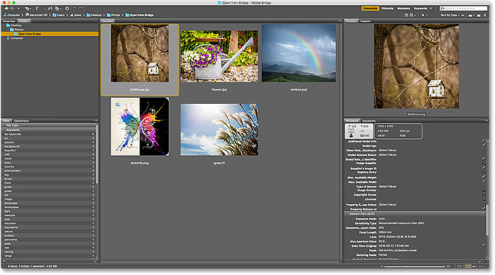 العودة إلى Adobe Bridge.