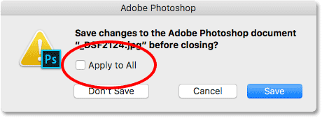 The Appy to All option will save or not save all images you're closing.