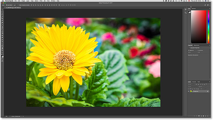 Adobe Photoshop with one image currently open. Photo copyright Steve Patterson.