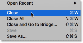 Choosing the Close command from under the File menu.